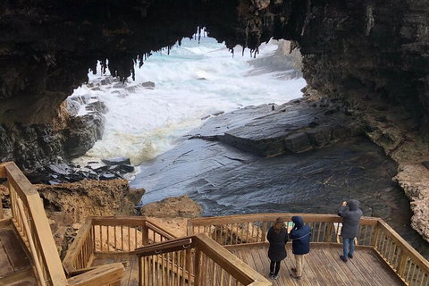 Kangaroo Island 4WD Tour - Best Of KI - Gold Coast Attractions 1