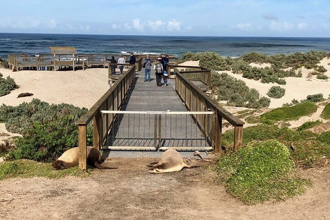 Kangaroo Island 4WD Tour - Best Of KI - Gold Coast Attractions 2