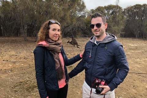 Kangaroo Island 4WD Tour - Best Of KI - Gold Coast Attractions 3