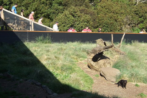 Day Keeper Tour - Gold Coast Attractions 2