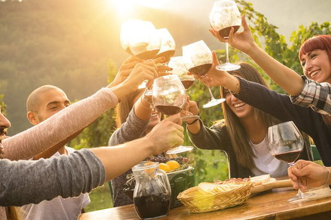 Yarra Valley, Dandenong Ranges Inc. Lunch With Wine,plus Morning Tea,chocolate - Gold Coast Attractions 4