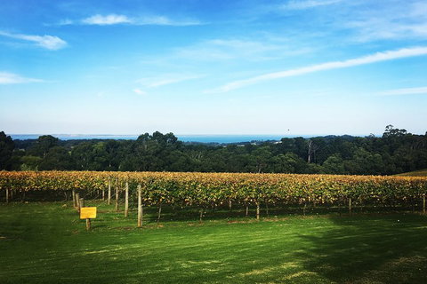 Yarra Valley Private Car Winery Tour And Chocolate.1-7 Passengers One Car Price - Gold Coast Attractions 0