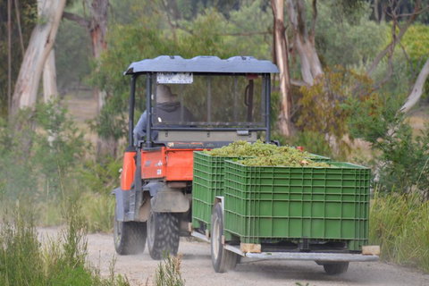 Yarra Valley Private Car Winery Tour And Chocolate.1-7 Passengers One Car Price - Gold Coast Attractions 1