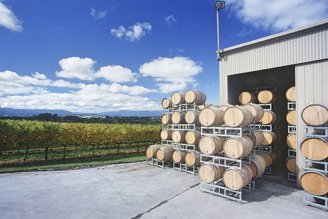 Yarra Valley Private Car Winery Tour And Chocolate.1-7 Passengers One Car Price - Gold Coast Attractions 2