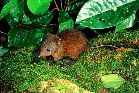 3-Day Small-Group Tour Of North Queensland With Pick Up - Gold Coast Attractions 0