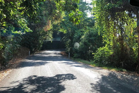 Cairns To Cooktown 4WD Tour - Gold Coast Attractions 0
