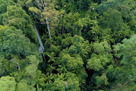 Natural Bridge, Skywalk And Mt Tamborine Adventure! - Gold Coast Attractions 2