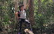 Natural Bridge, Skywalk And Mt Tamborine Adventure! - thumb 3