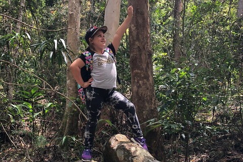Natural Bridge, Skywalk And Mt Tamborine Adventure! - Gold Coast Attractions 3