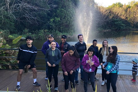 Natural Bridge, Skywalk And Mt Tamborine Adventure! - Gold Coast Attractions 4