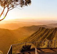 O'Reilly's  Lamington National Park incl. Alpaca Farm  Vineyard - Gold Coast Attractions