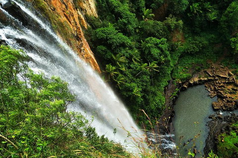 Natural Arch, Rainforest & Volcano Canyon - Private Half Day Tour - Gold Coast Attractions 5
