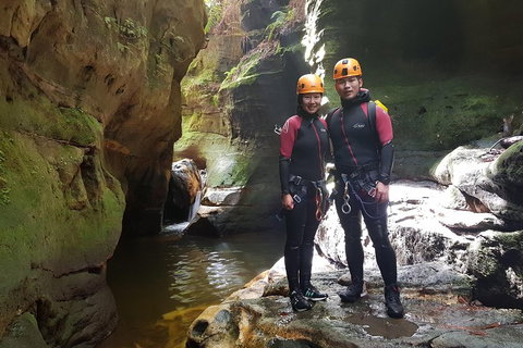 Blue Mountains Empress Canyon Adventure From Wentworth Falls - Gold Coast Attractions 0