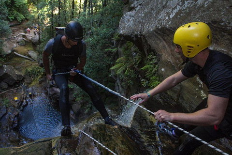 Blue Mountains Empress Canyon Adventure From Wentworth Falls - Gold Coast Attractions 2