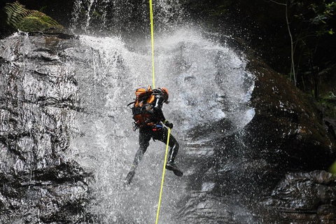 Blue Mountains Empress Canyon Adventure From Wentworth Falls - Gold Coast Attractions 3