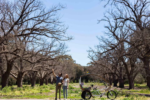 Adelaide 90-Minute Pedicab Tour: Scenic Green & River Experience - Gold Coast Attractions 1