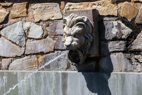 Adelaide 90-Minute Pedicab Tour: Scenic Green & River Experience - Gold Coast Attractions 3