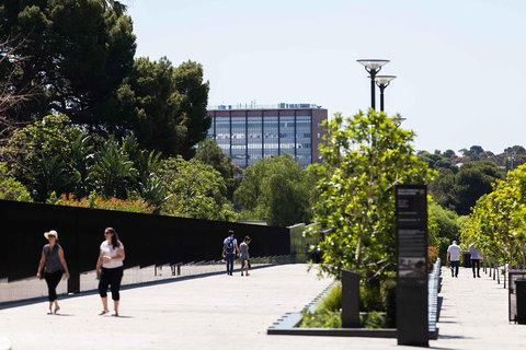 Adelaide 90-Minute Pedicab Tour: Scenic Green & River Experience - Gold Coast Attractions 4