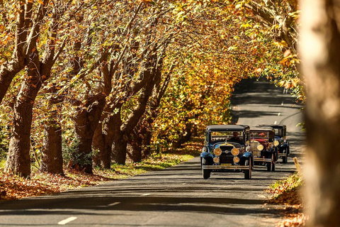 Blue Mountains Vintage Cadillac Tour With Local Guide - Gold Coast Attractions 1
