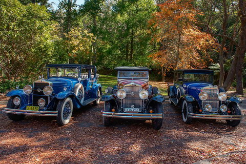 Blue Mountains Vintage Cadillac Tour With Local Guide - Gold Coast Attractions 4