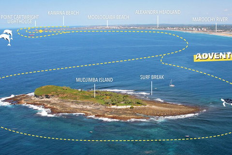 1.5HR Mudjimba Island Wildlife Safari - Gold Coast Attractions 1