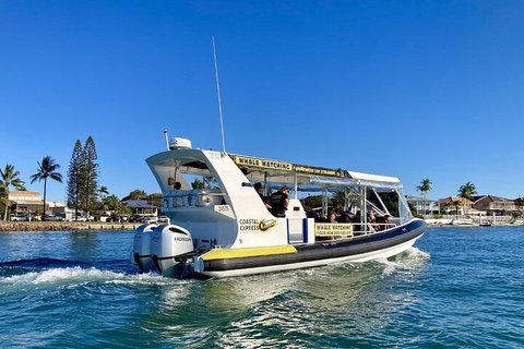 1.5HR Mudjimba Island Wildlife Safari - Gold Coast Attractions 4