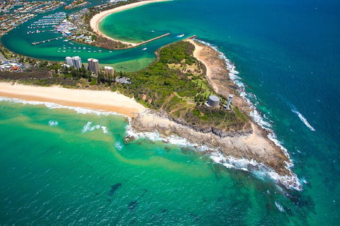 1.5HR Mudjimba Island Wildlife Safari - Gold Coast Attractions 5