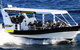 Mooloolaba Whale Watching Tour - thumb 0