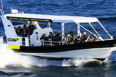 Mooloolaba Whale Watching Tour