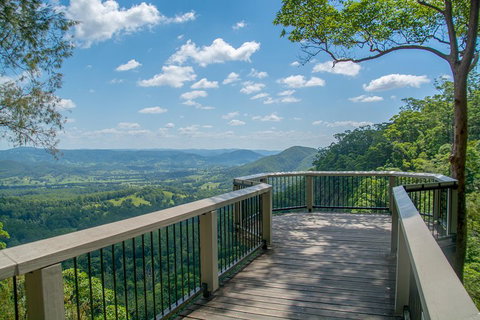 Full-Day Guided Hinterland Adventure Tour In Queensland - Gold Coast Attractions 2