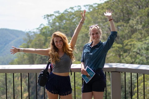 Full-Day Guided Hinterland Adventure Tour In Queensland - Gold Coast Attractions 3