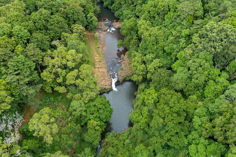 Full-Day Guided Hinterland Adventure Tour In Queensland - Gold Coast Attractions 4