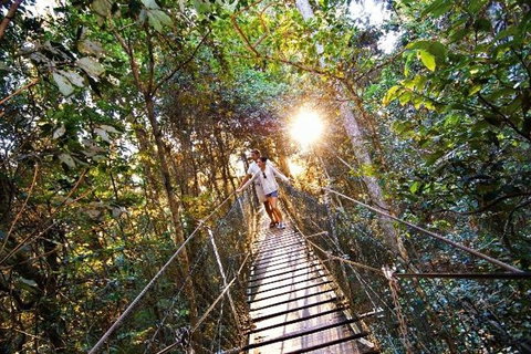 O'Reilly's & Lamington National Park From Brisbane - Gold Coast Attractions 5