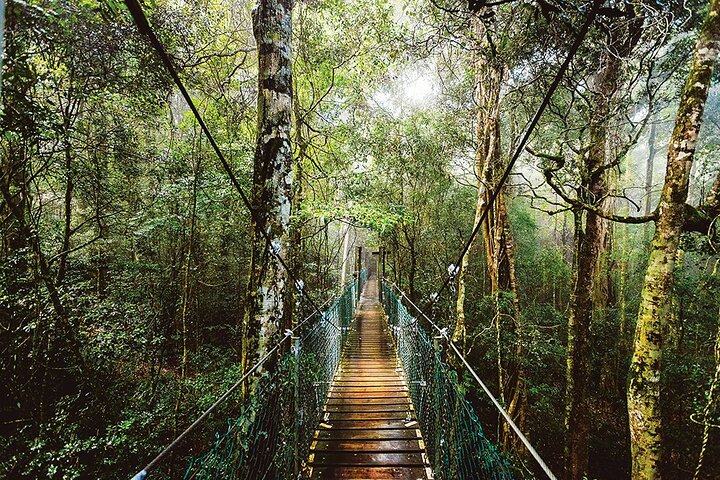 Bundall QLD Gold Coast Attractions