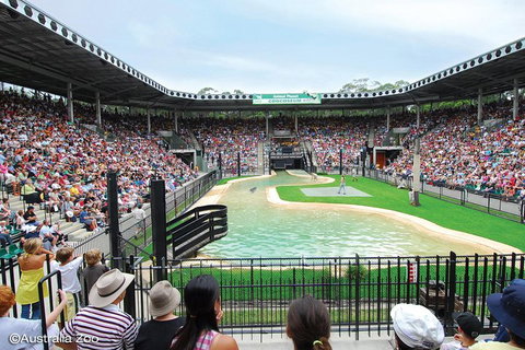 Croc Express To Australia Zoo From Brisbane - Gold Coast Attractions 2