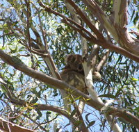 Stradbroke Island 4WD Day Trip from Brisbane - Gold Coast Attractions