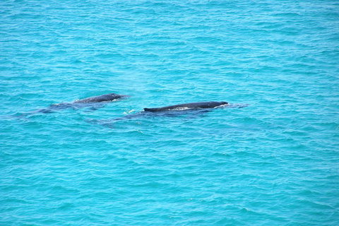 Stradbroke Island 4WD Day Trip From Brisbane - Gold Coast Attractions 4