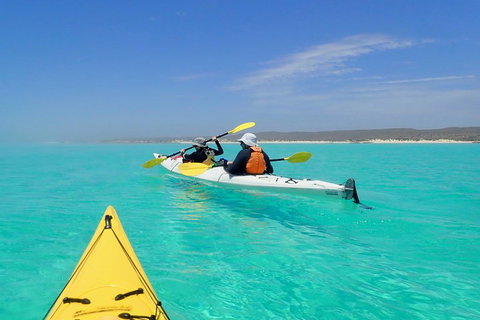 Lagoon Explorer - Ningaloo Reef Full-Day Kayaking And Snorkeling Adventure - Gold Coast Attractions 0