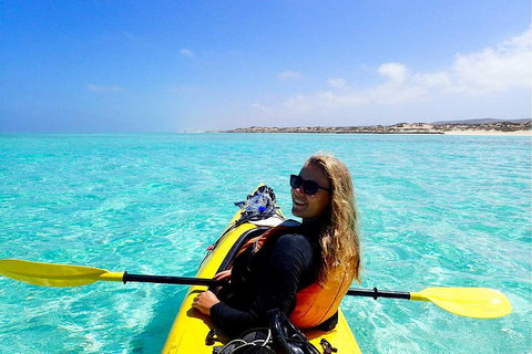 Lagoon Explorer - Ningaloo Reef Full-Day Kayaking And Snorkeling Adventure - Gold Coast Attractions 1