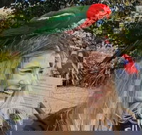 Lamington National Park O'Reilly's  Vineyard Tour - Gold Coast Attractions