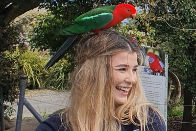 Lamington National Park O'Reilly's  Vineyard Tour