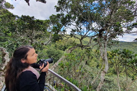 Lamington National Park, O'Reilly's & Vineyard Tour - Gold Coast Attractions 1