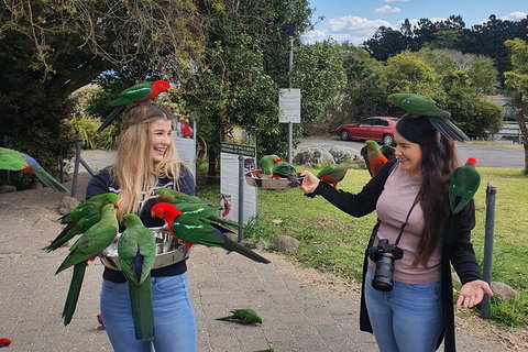 Lamington National Park, O'Reilly's & Vineyard Tour - Gold Coast Attractions 5
