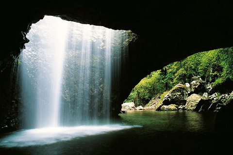 Natural Bridge & Springbrook Waterfalls Tour - Gold Coast Attractions 0