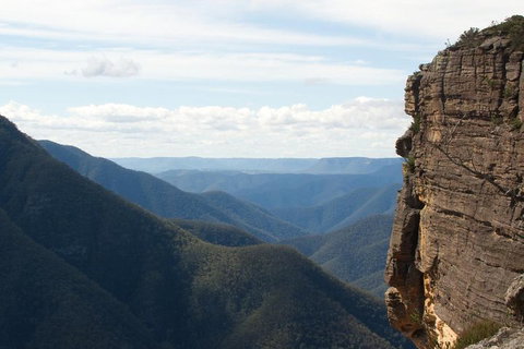 Inside The Greater Blue Mountains World Heritage - A Wildlife Safari Overnight - Gold Coast Attractions 4