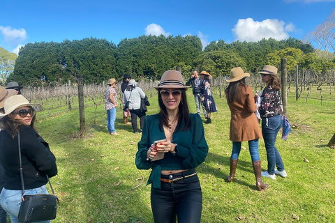 Mt Tamborine Full Day Wine Tour - Gold Coast Attractions 1