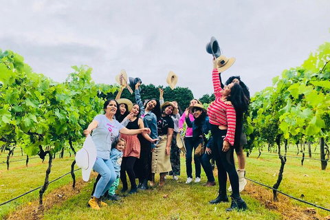 Mt Tamborine Full Day Wine Tour - Gold Coast Attractions 4