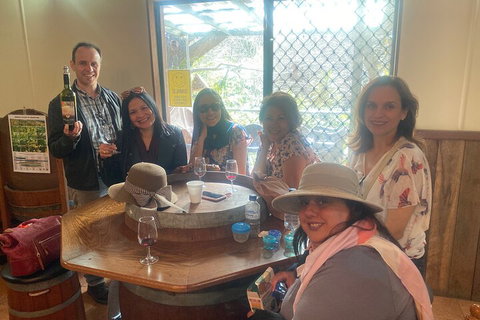 Mt Tamborine Full Day Wine Tour - Gold Coast Attractions 5