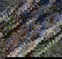 Leven Canyon Day Trip Including Wings Wildlife Park or Gunns Plains Caves - Gold Coast Attractions