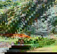 Tropical Fruit World Farm Full Tour - Gold Coast Attractions